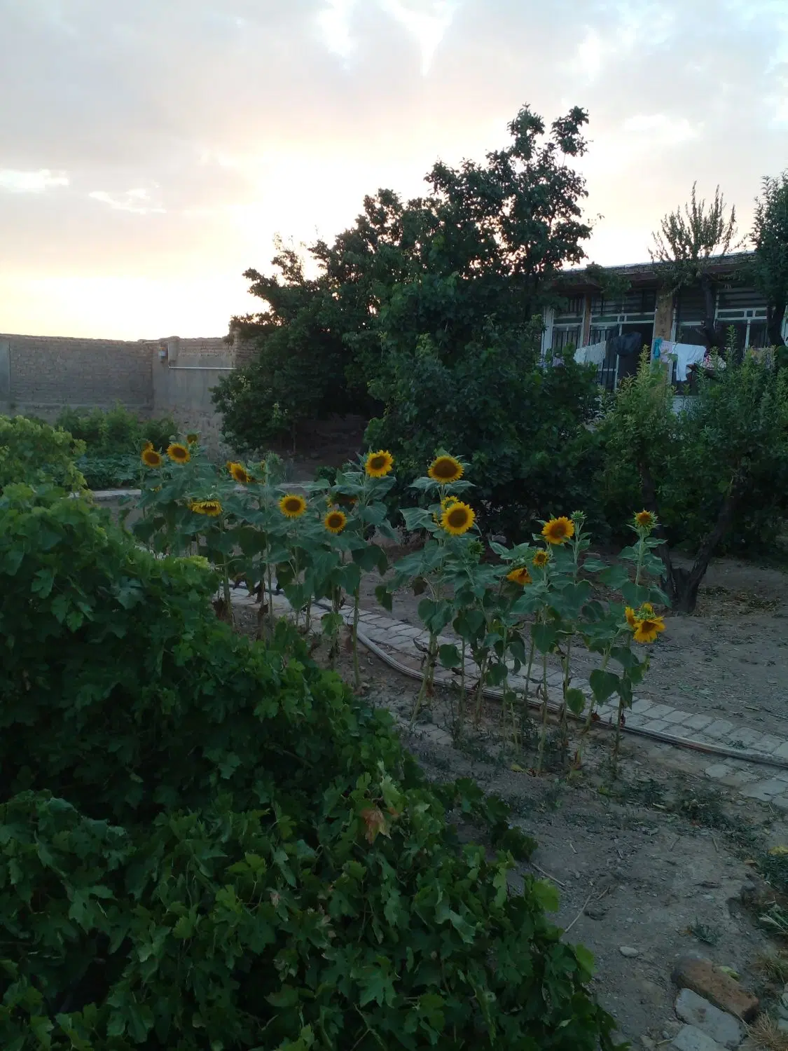 خانه ویلایی