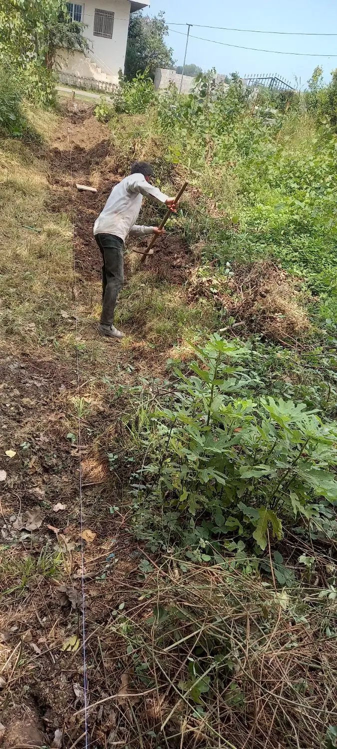 زمین مسکونی ۲۲۰ متری و ۱۲۵۰ متری نزدیک دریا