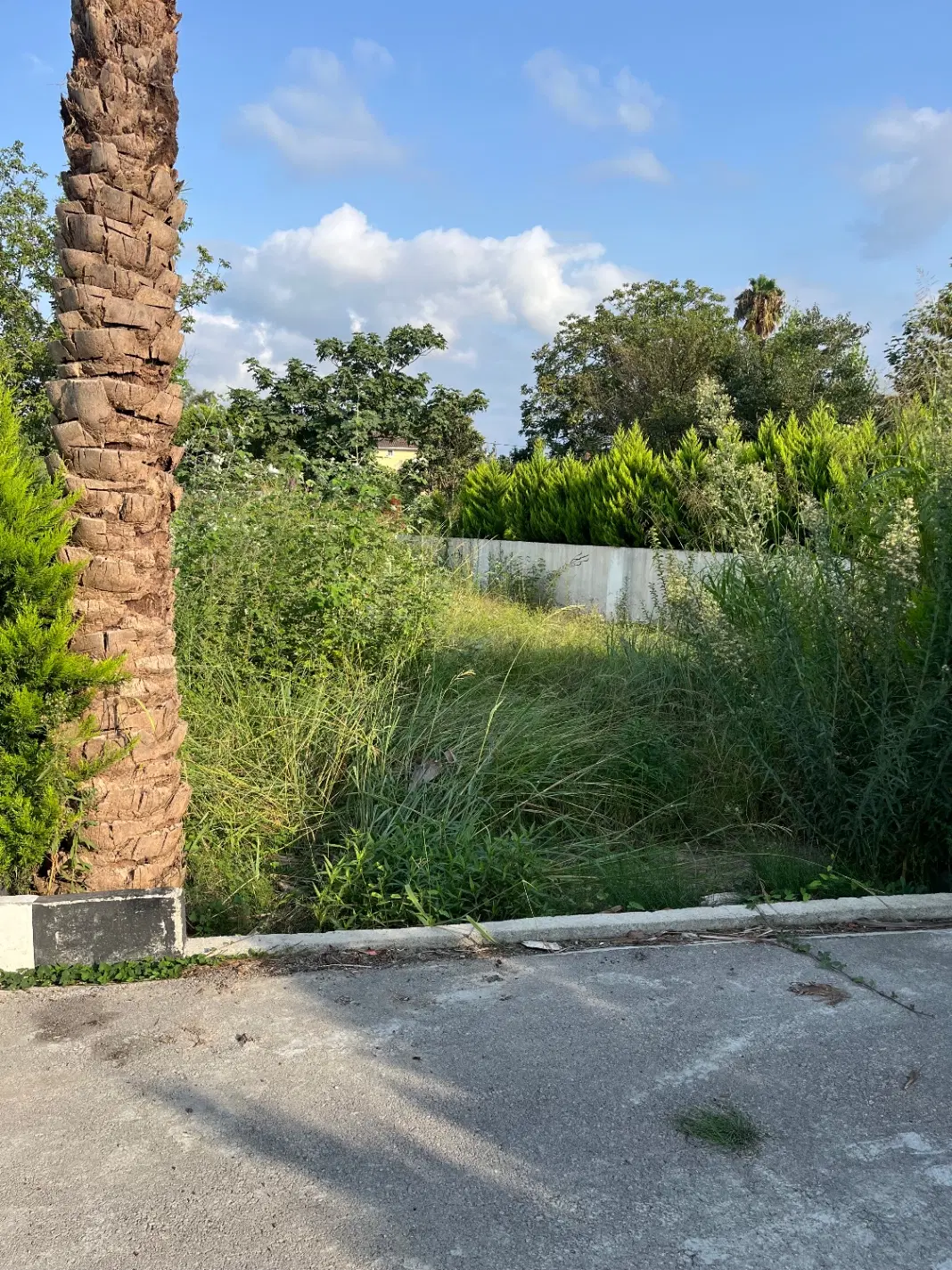 زمین شهرکی