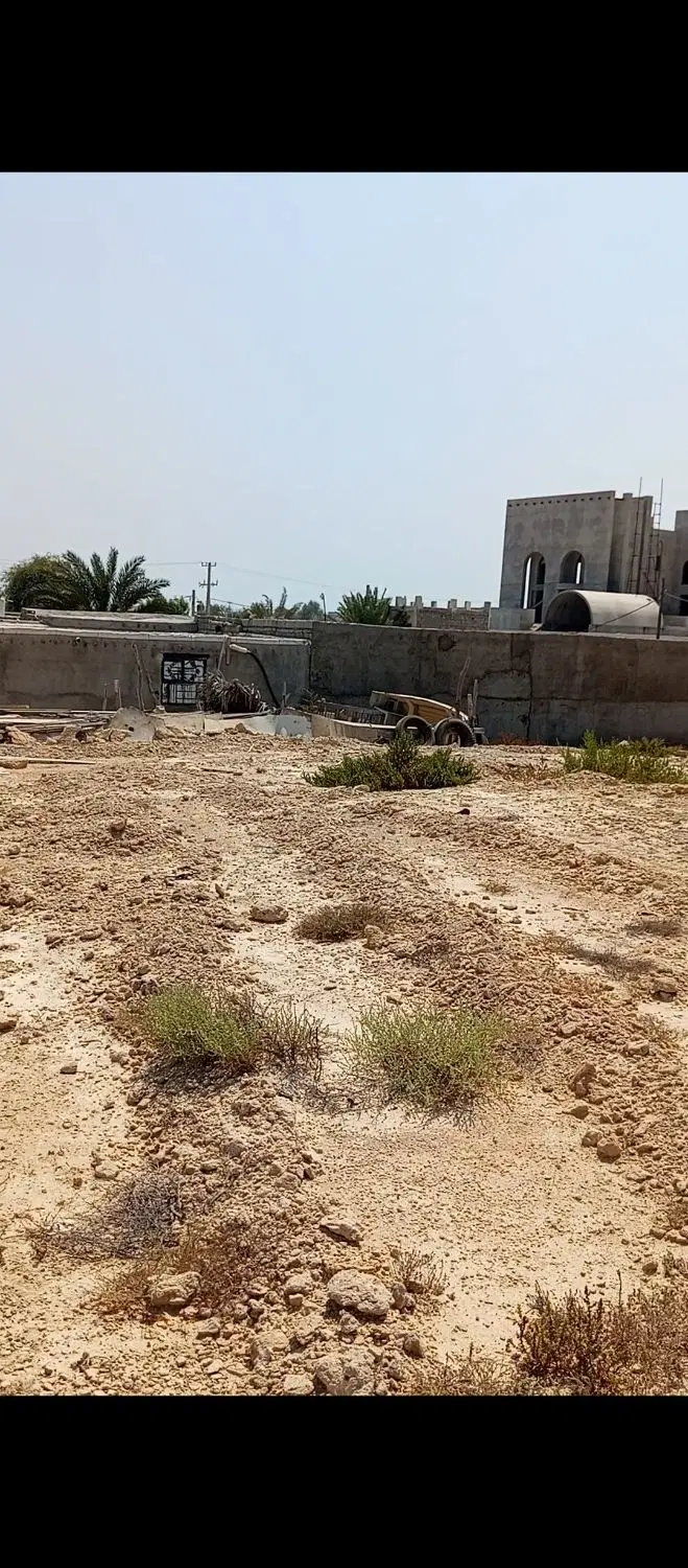 سه قطعه زمین واقع در روستای نقاشه