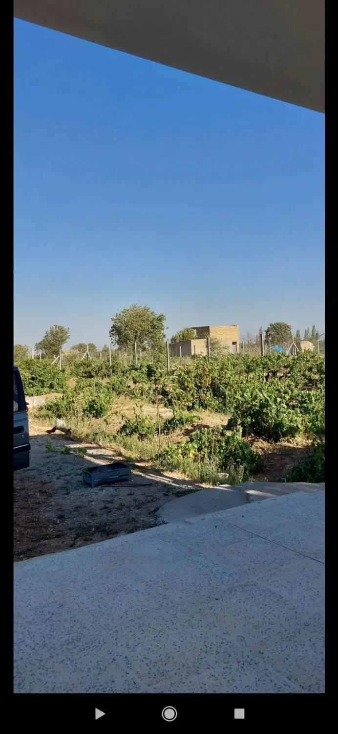 باغ ویلا