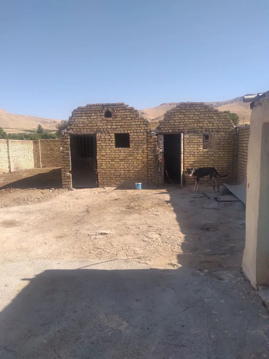 اجاره‌اصطبل‌‌‌بهداشتی