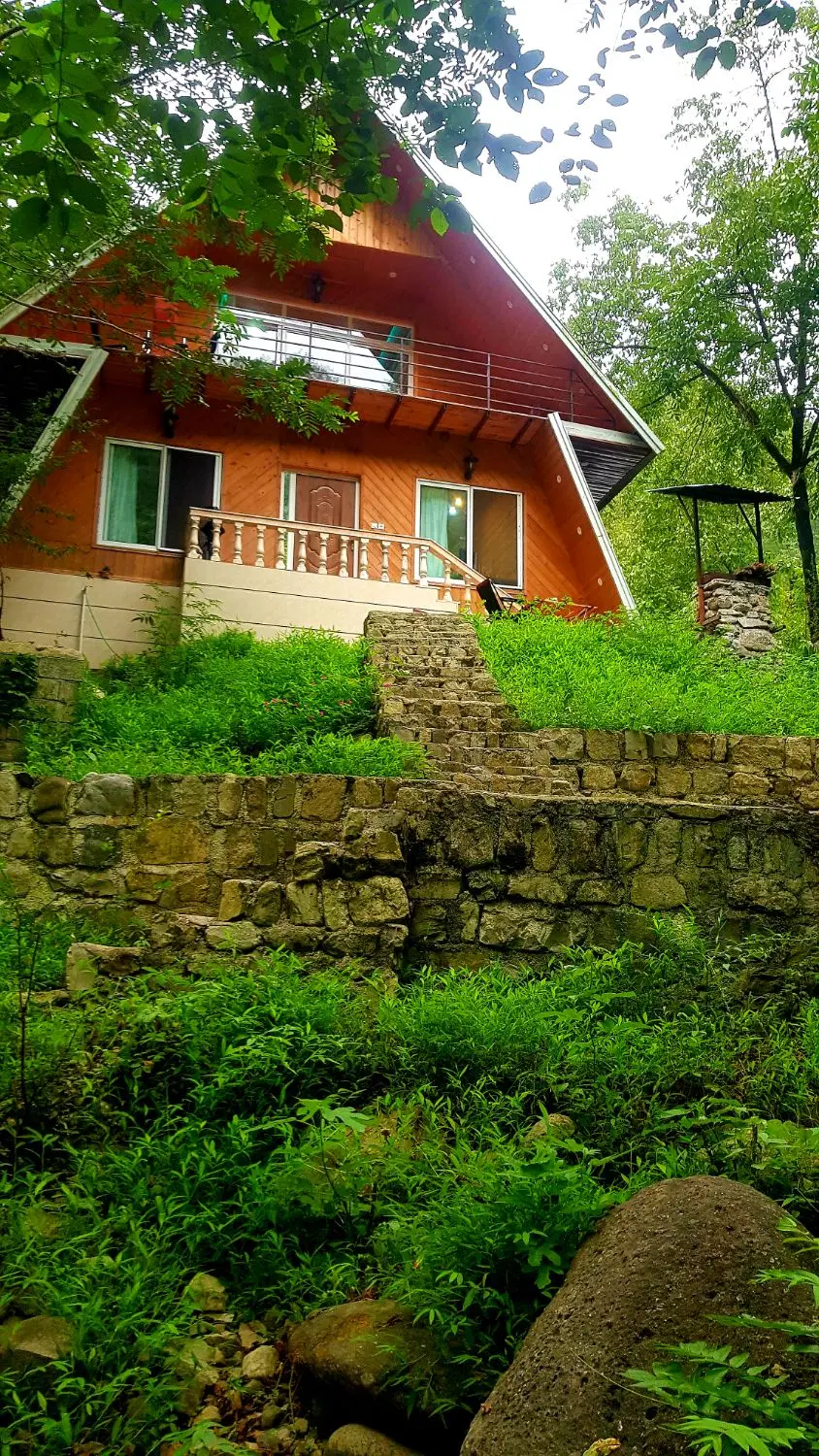 کلبه چوبی امیر دربست