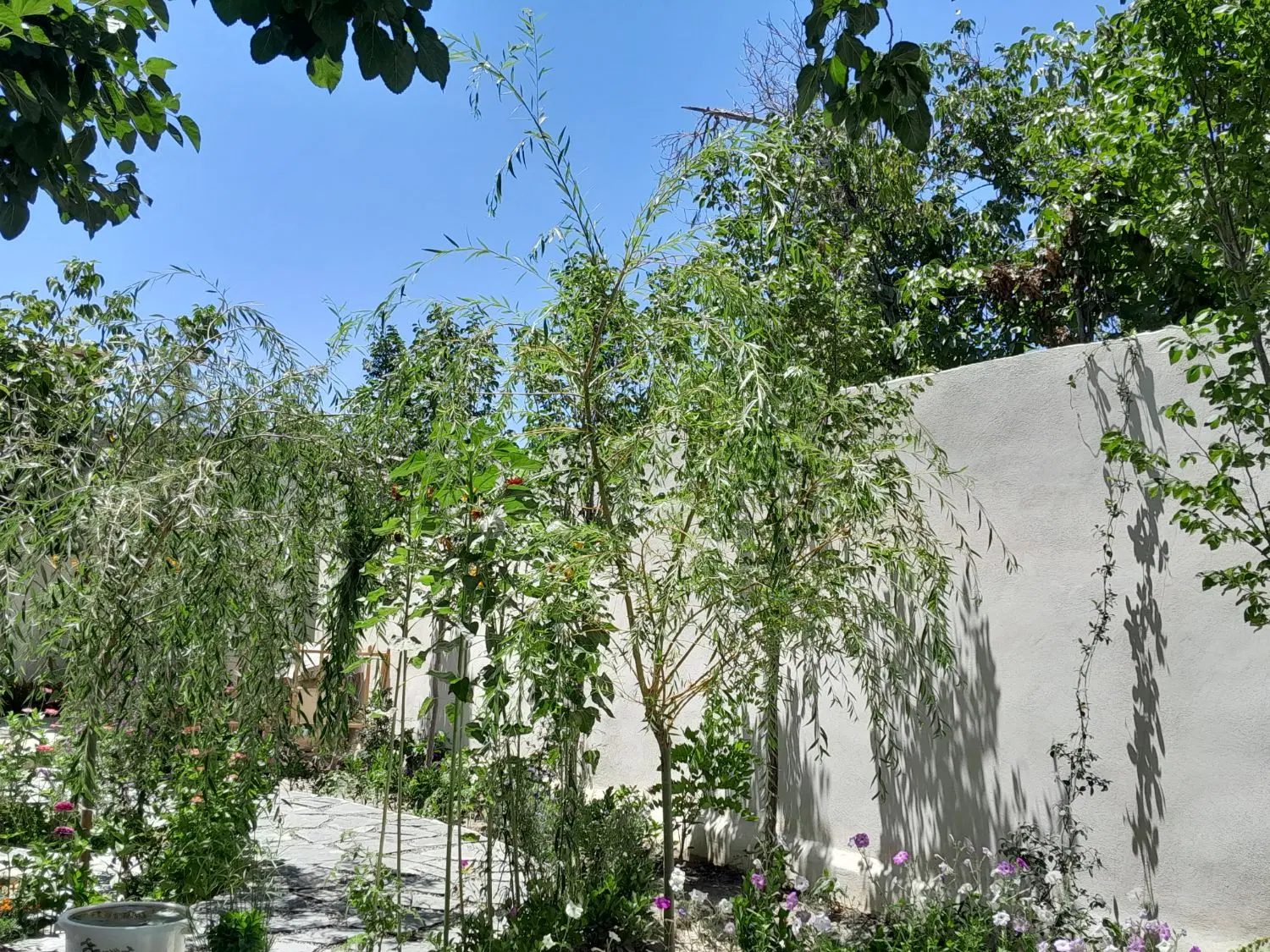 فروش زمین  ۷۰۰ متری از اراضی دادگستری