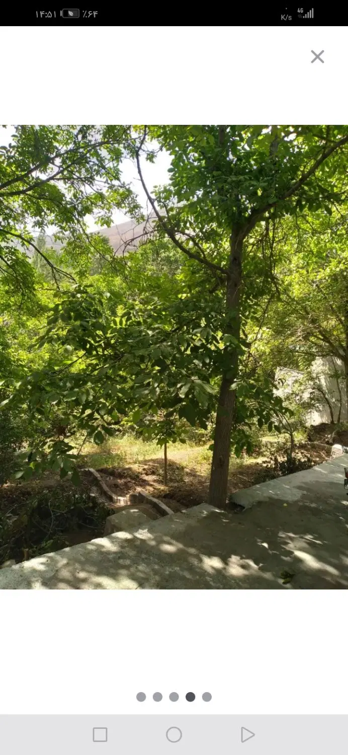 فروش باغچه262متر