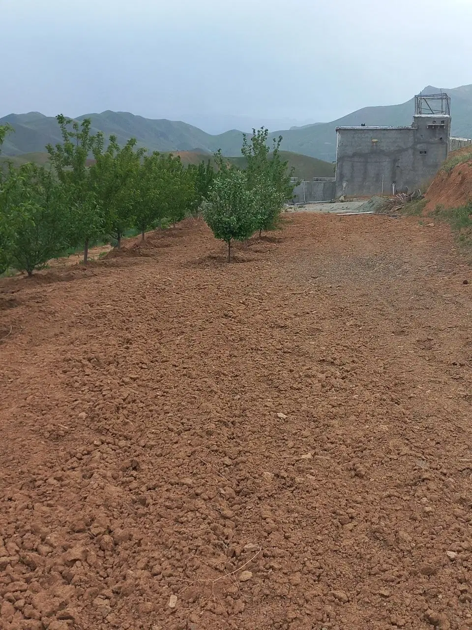 باغ در 3 کیلومتری