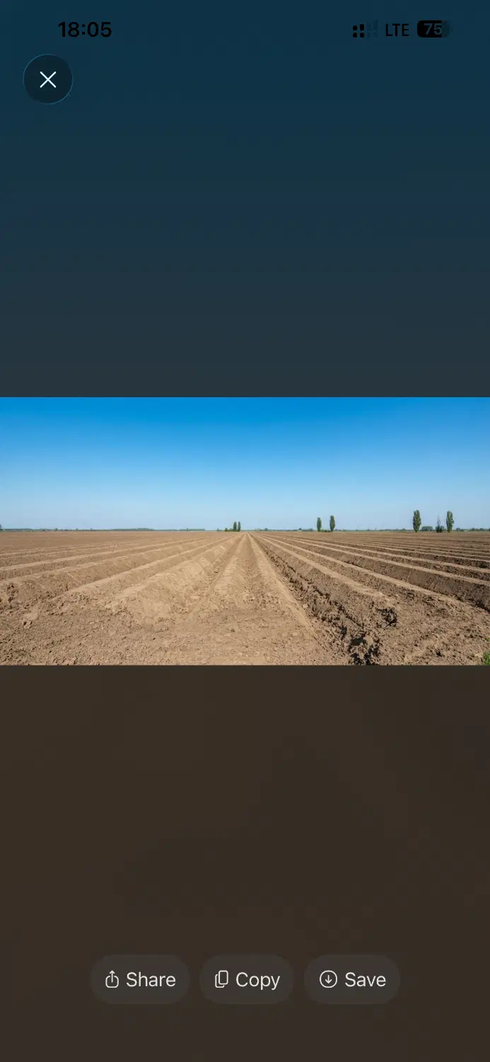 زمین فاز دوم چمران 16 قصب
