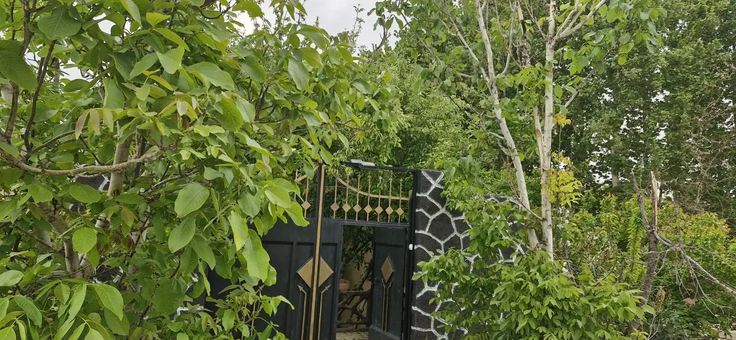 باغ نقلی لاکچری