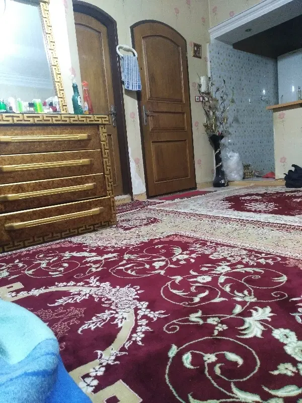 نیاز به همخونه ی خانم