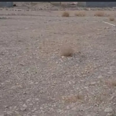 زمین پست بیمارستان فروش یا معاوضه