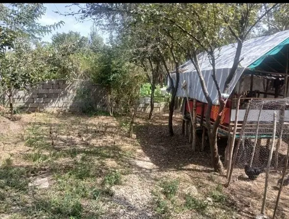 قطعه ۲۰۵ متری_پروانه ساخت_دوردیوار