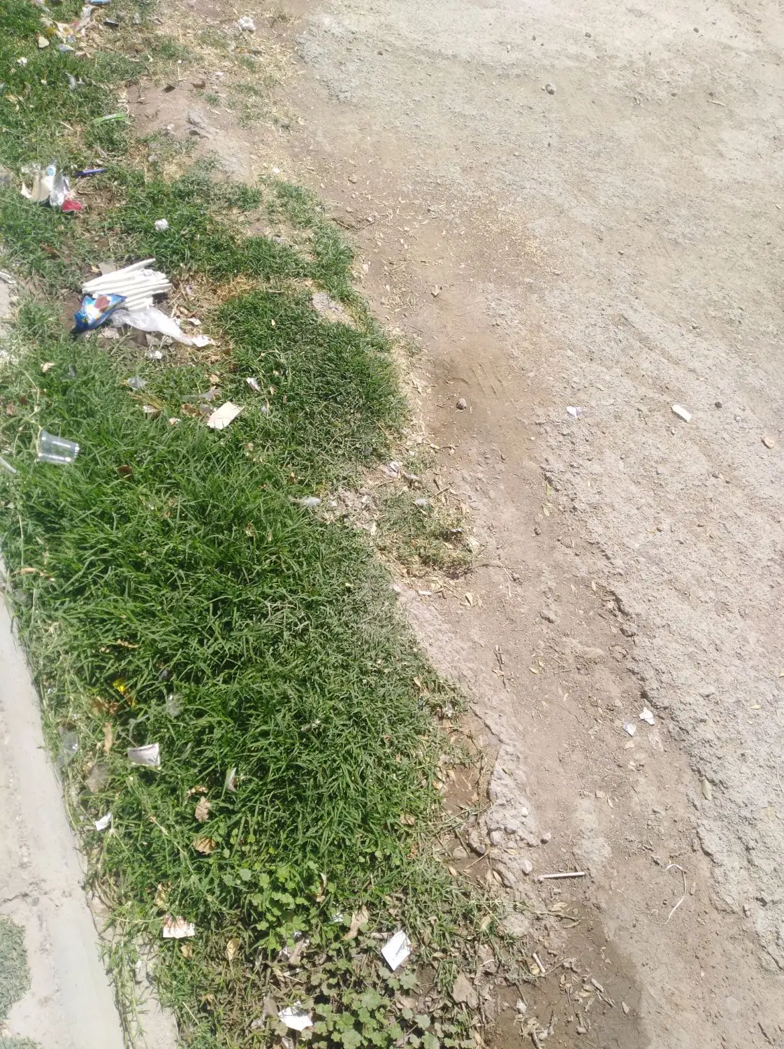 باغ جاده سنندج
