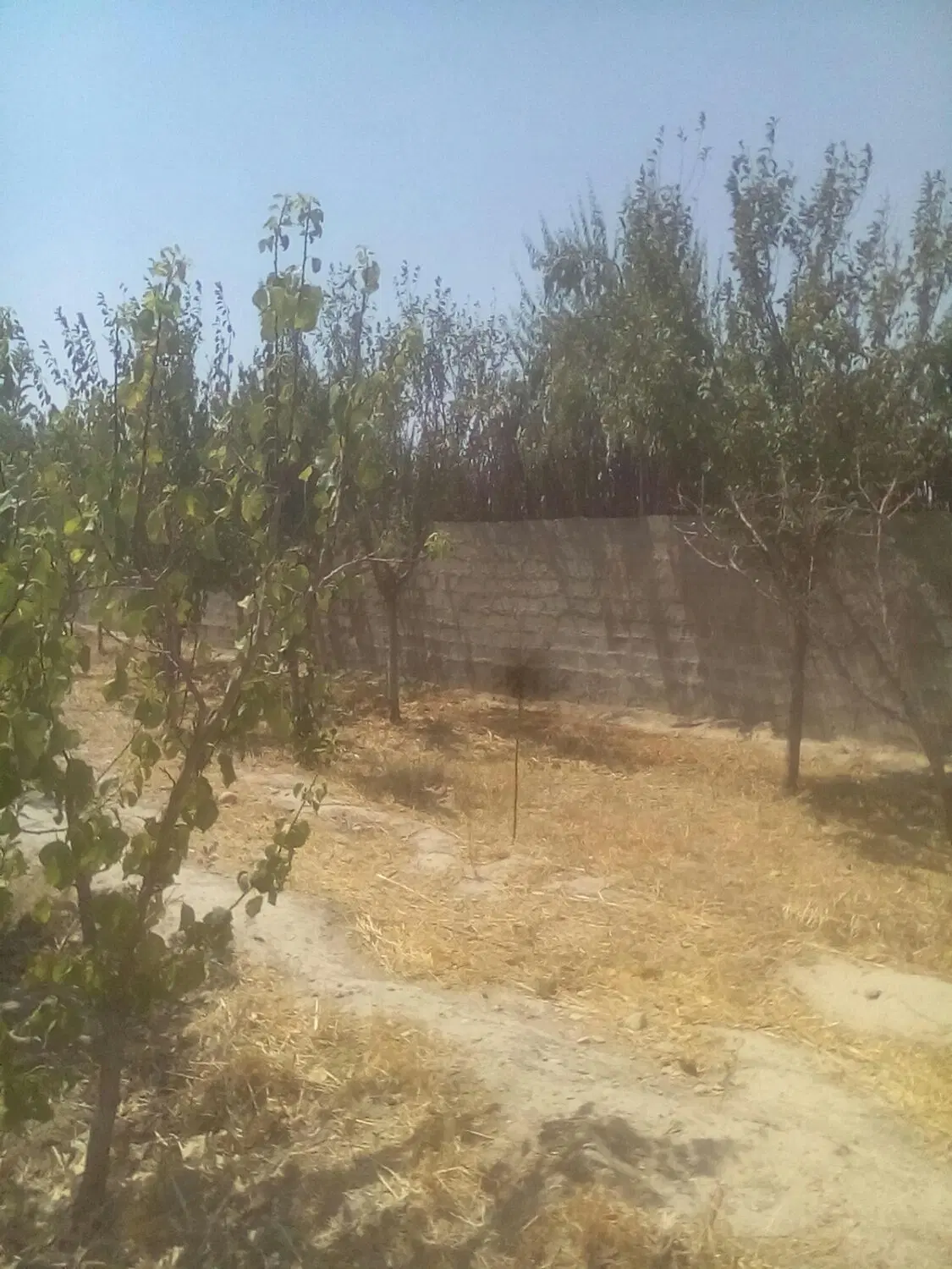 باغچه در خوشنام باغچه
