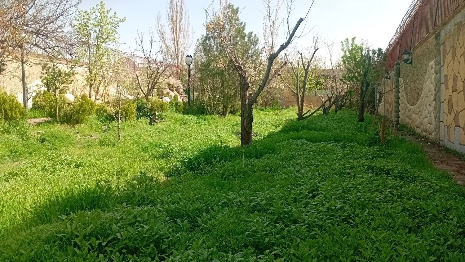 باغ فروشی ۵۰۰ متر  دور دیوار شاهنامه ۳۶