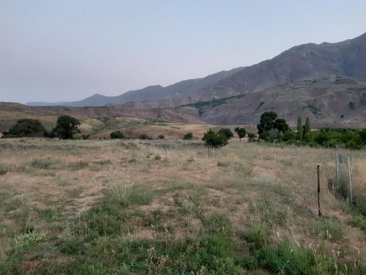 یک قطعه زمین آبیزار