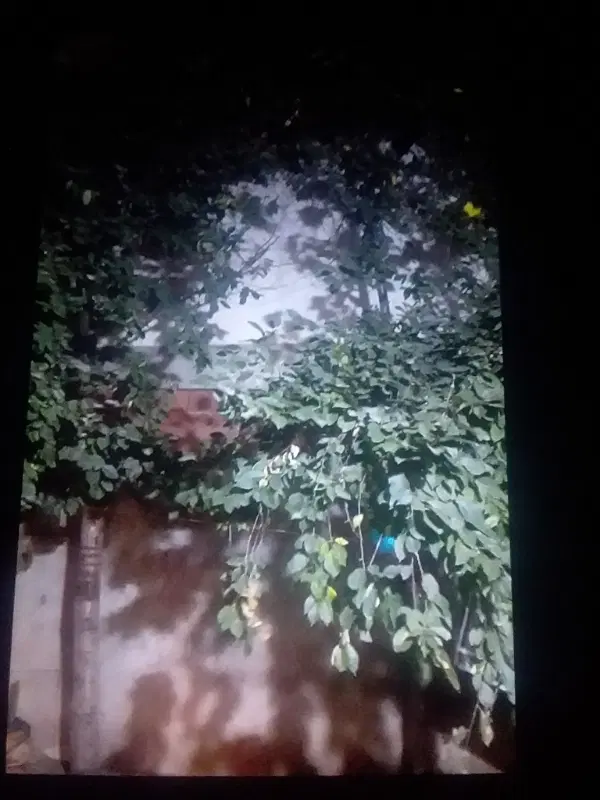 فروش خانه ویلایی   صدمتره
