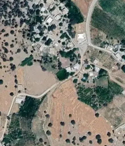 زمین باغی