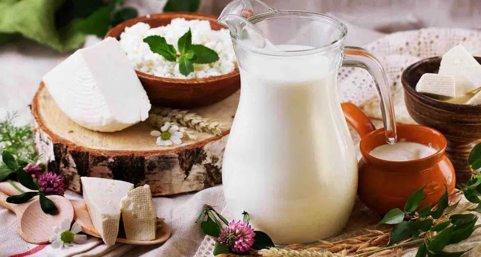 واگذاری لبنیاتی در یوسفیه با مشتری ثابت