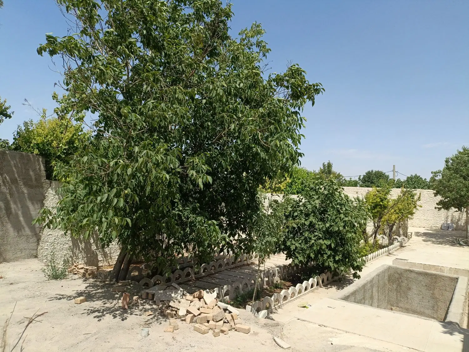 باغچه 310 متری چالتاسیان ورامین
