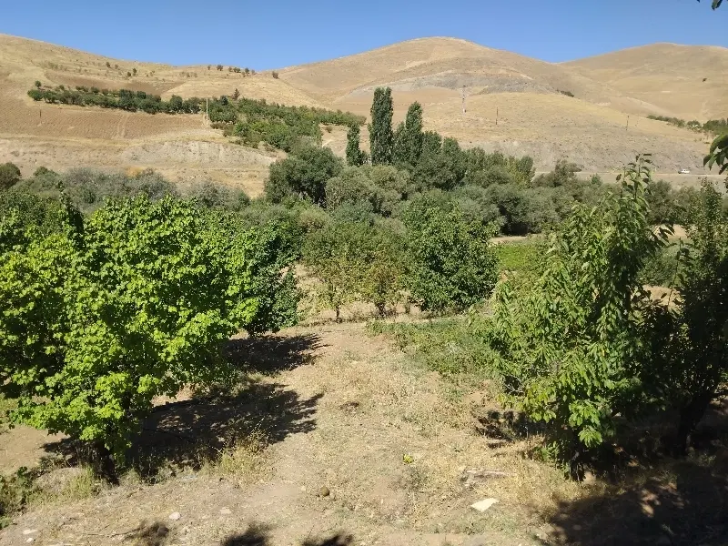 چند قواره زمین برازان