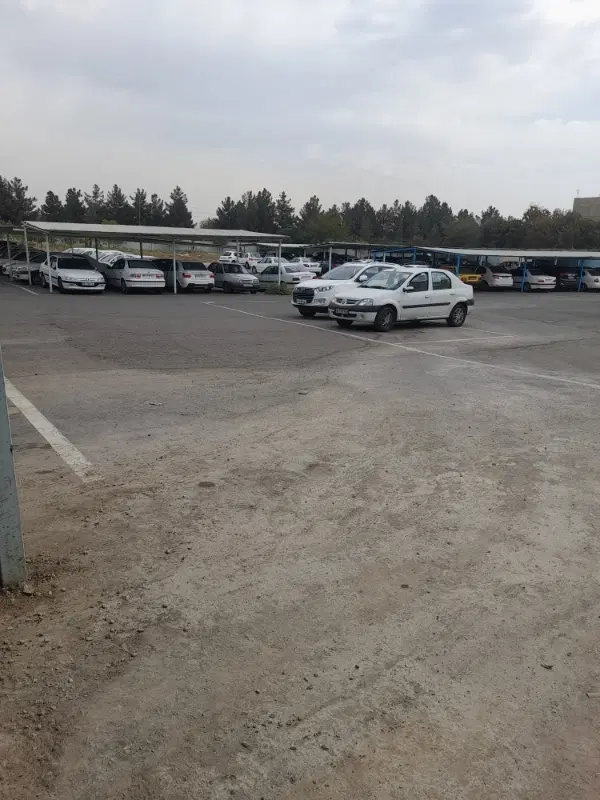 ۲۵۰مترزمین  درچهاردانگه