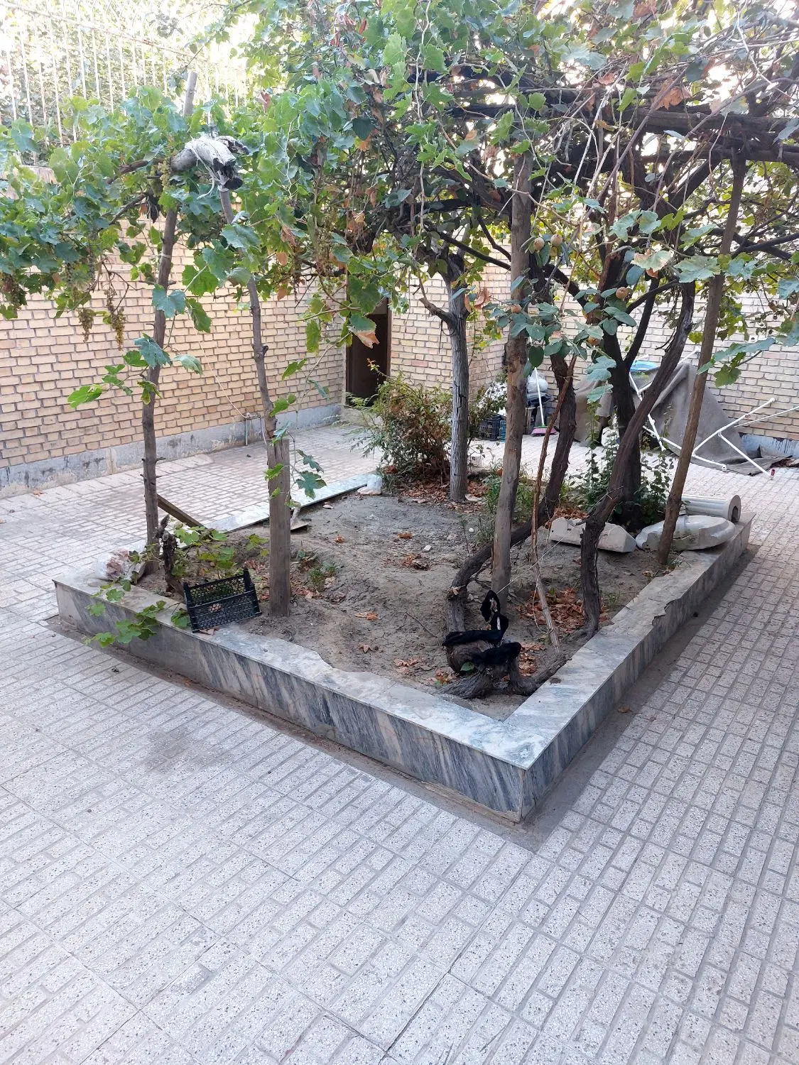 اجاره، همکف، دلباز
