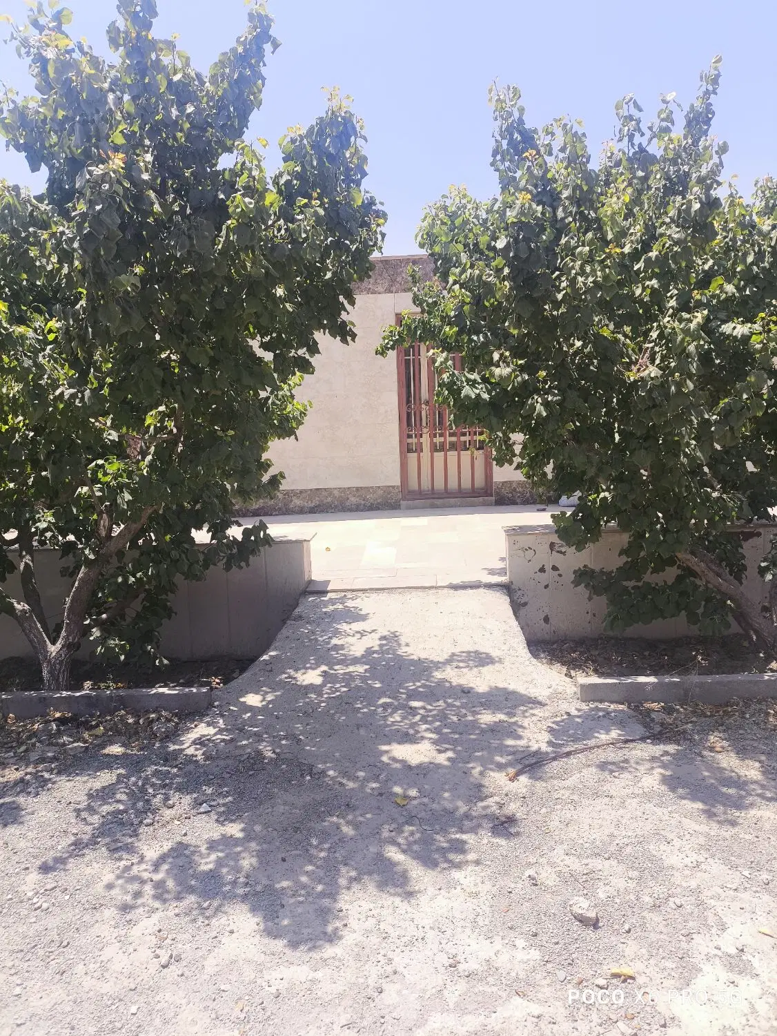باغچه  چهار دیواری