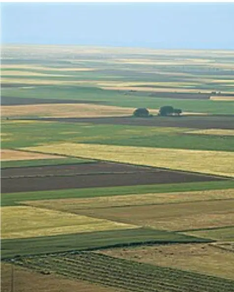 زمین کشاورزی دیم قزوین محمدیه