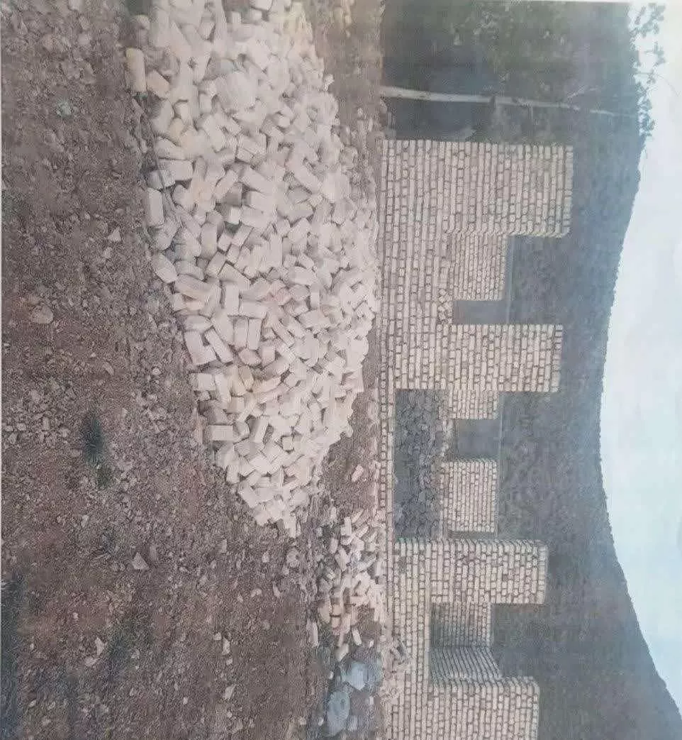 باغ و گل محمدی روستای قزاآن قمصر