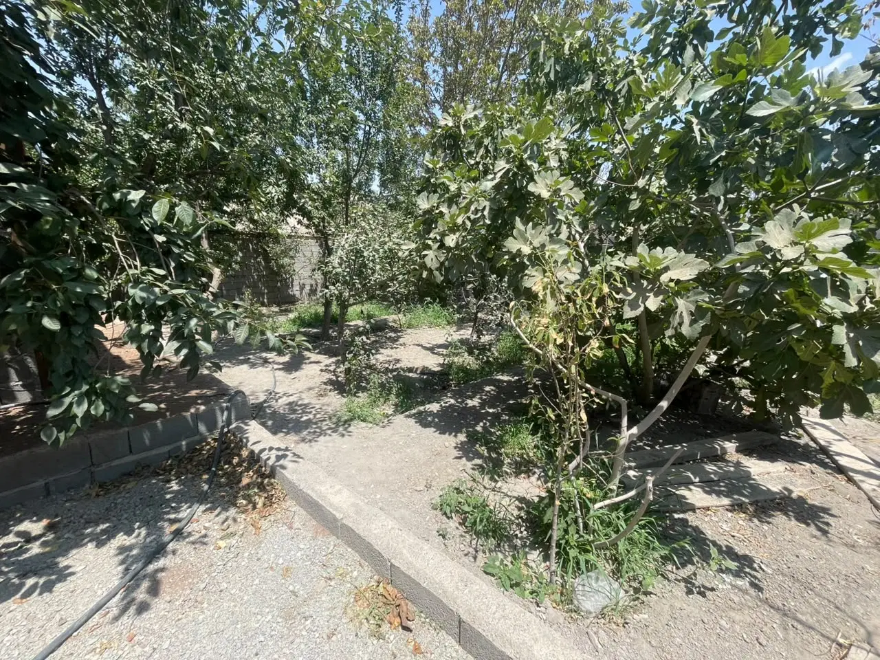 باغچه ۳۰۰متری