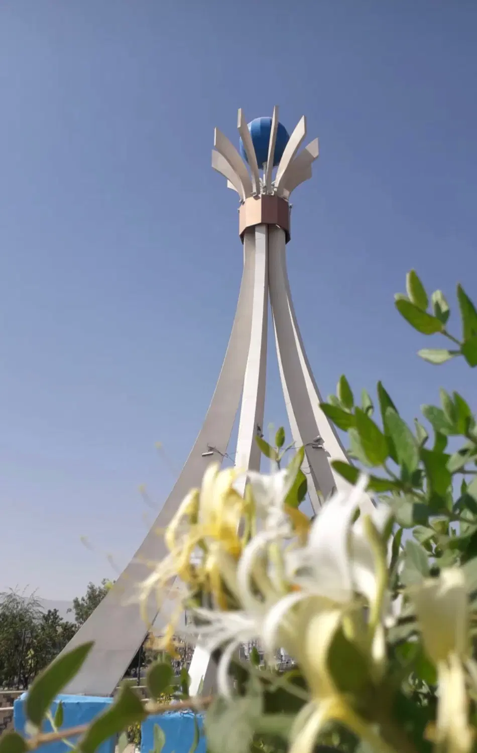 زمین صنوف مزاحم