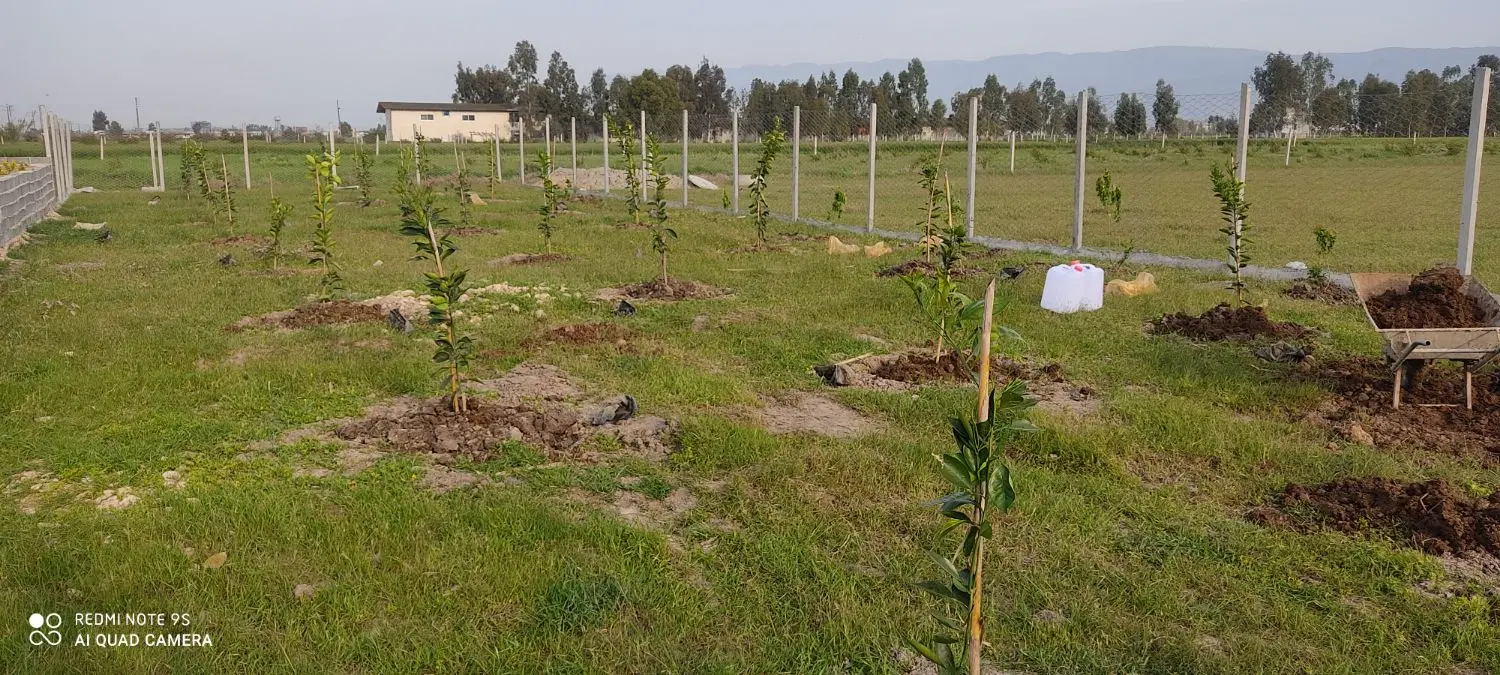 زمین کشاورزی موقعیت خوب