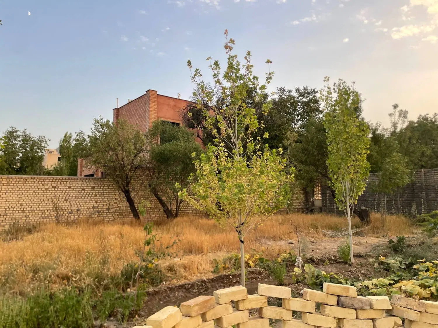 زمین ویلایی نیاسر