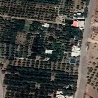 باغ