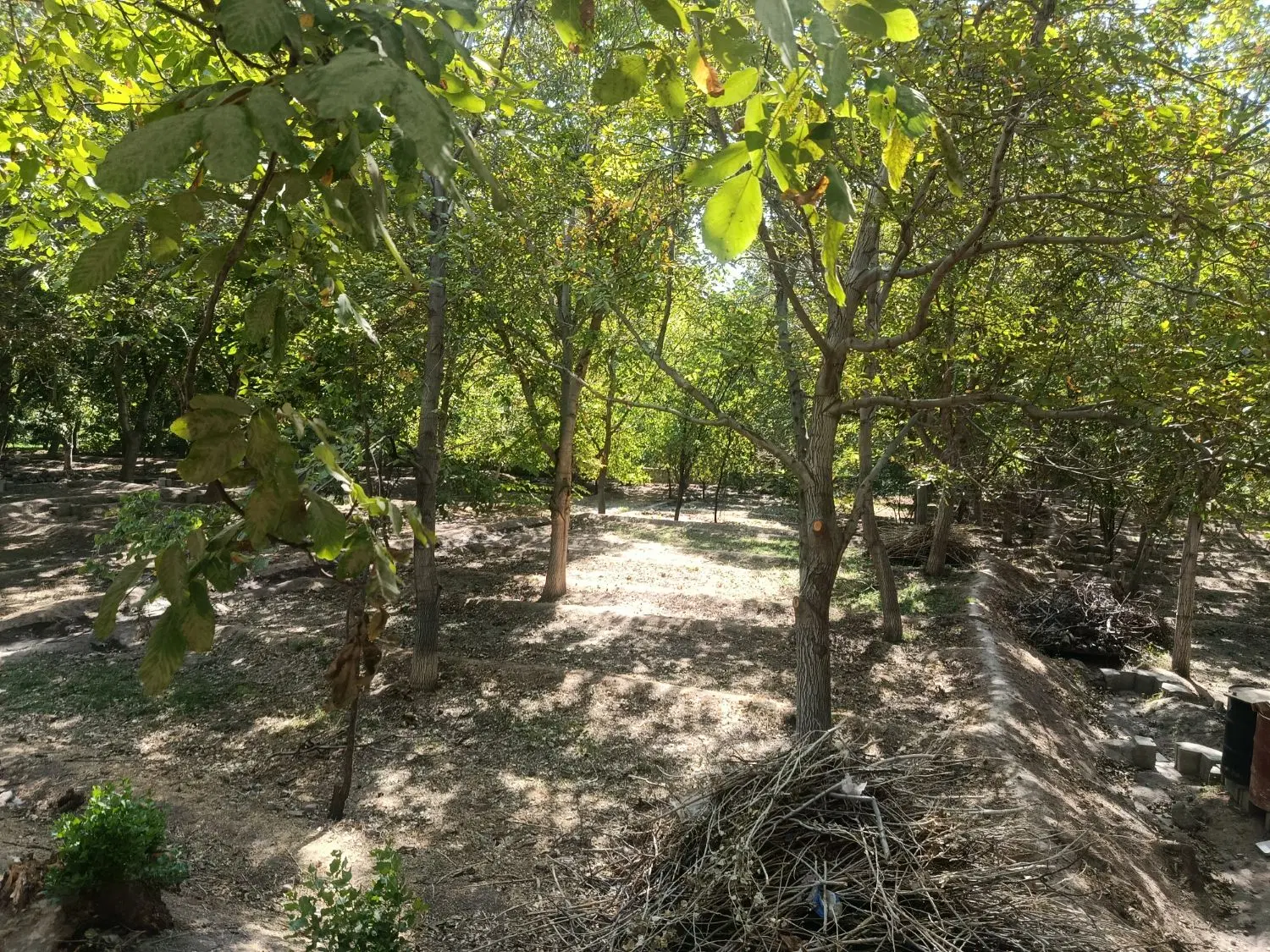 باغ به متراژ ۳۰۰متر در اسکو