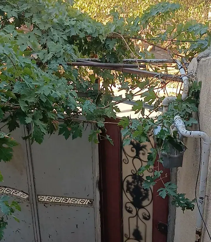 فروش ویلایی نقلی