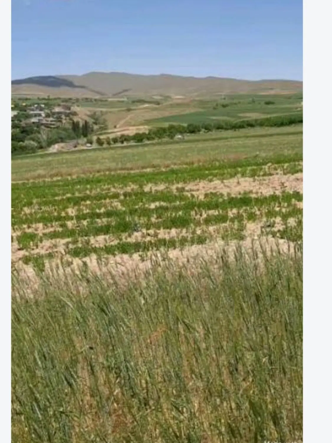 فروش زمین روستای قزلجه اکراد