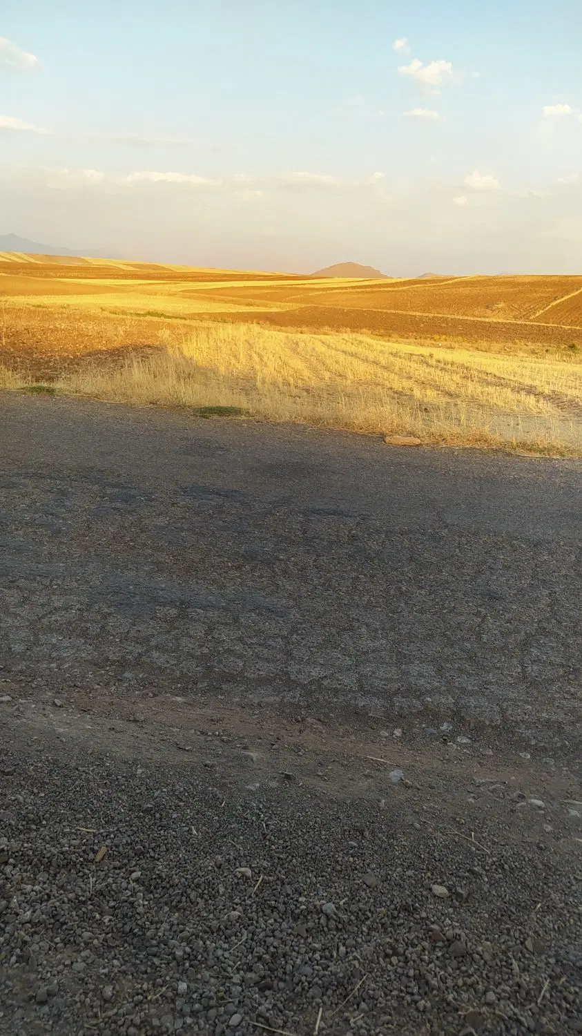 زمین باغی و کشاورزی