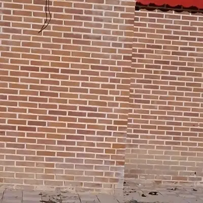 اجاره مغازه تجاری