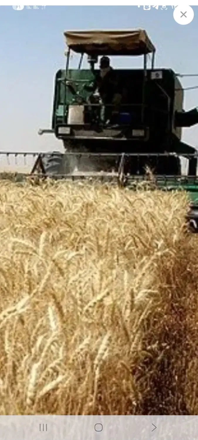 فروش زمین کشاورزی دیم