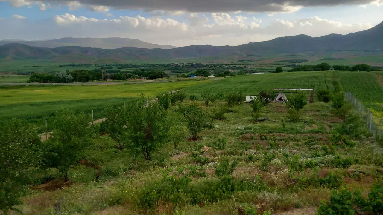 باغ فروشی