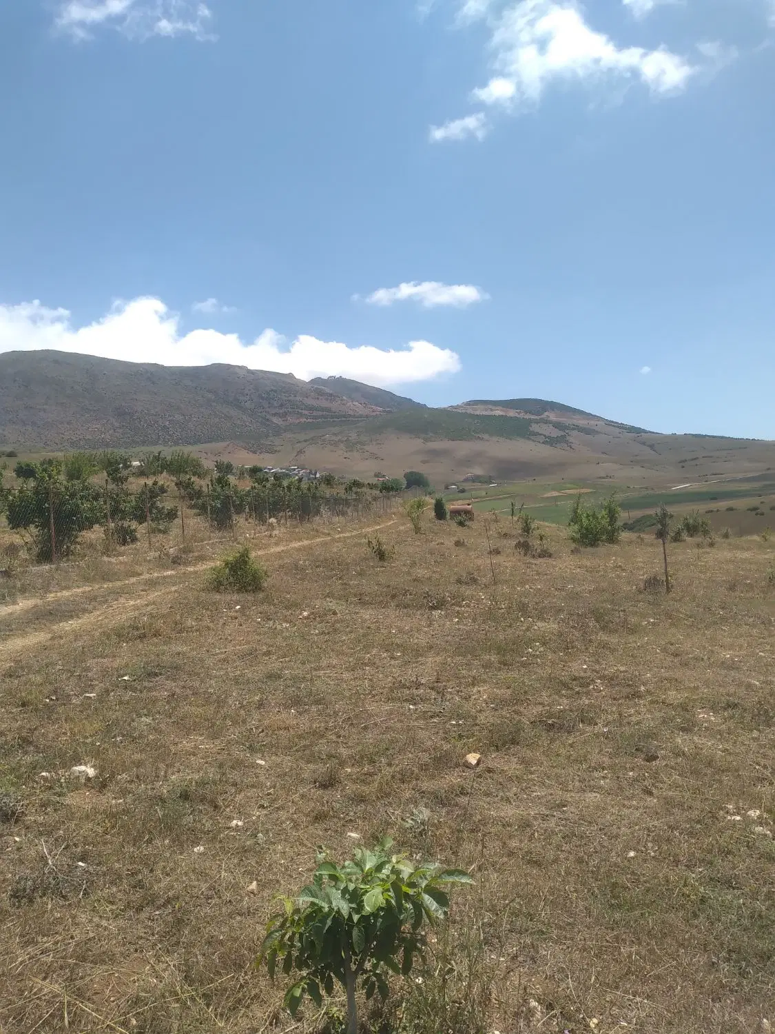 زمین باغی روستای کوه پس