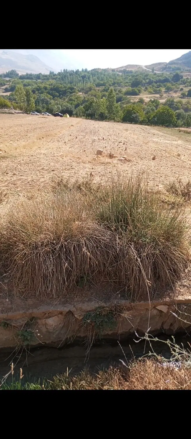 فروش