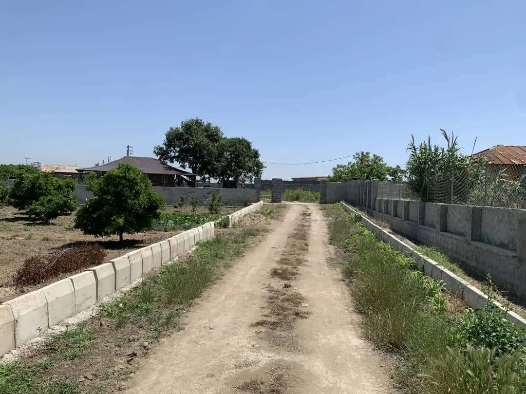 باغ مرکبات ساحلی