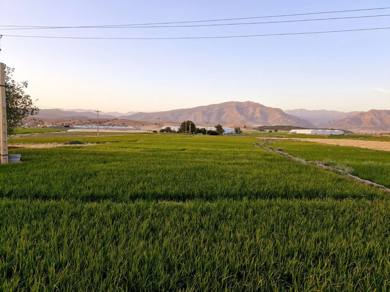 فروش زمین مسکونی