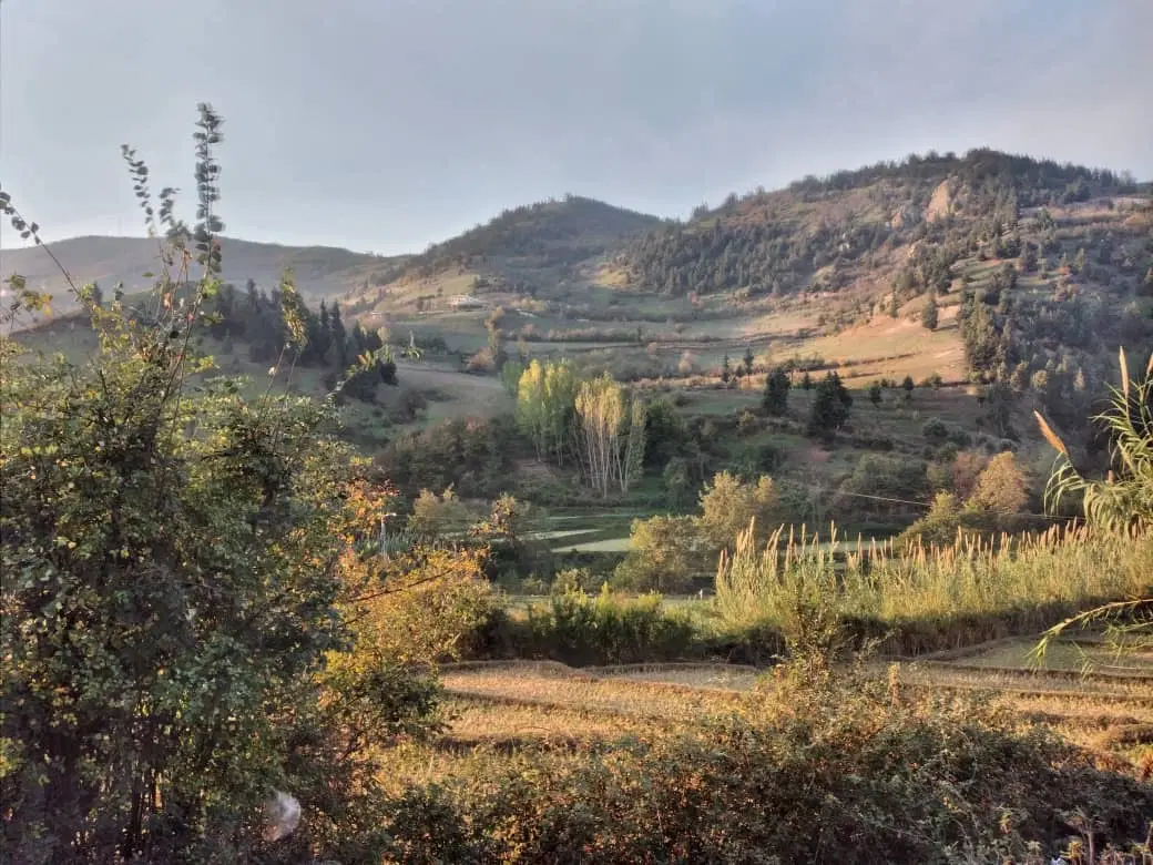 زمین کشاورزی و باغی نزدیک طرح