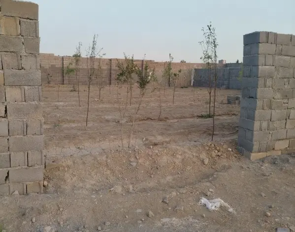 فروش زمین پیشک