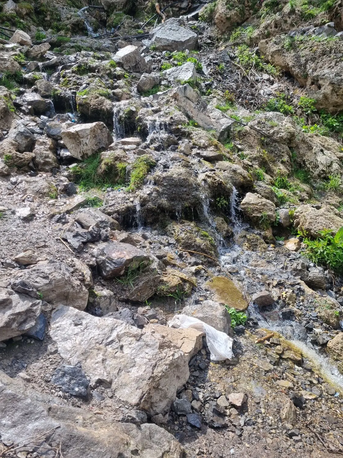 باغ کهنه قلعه