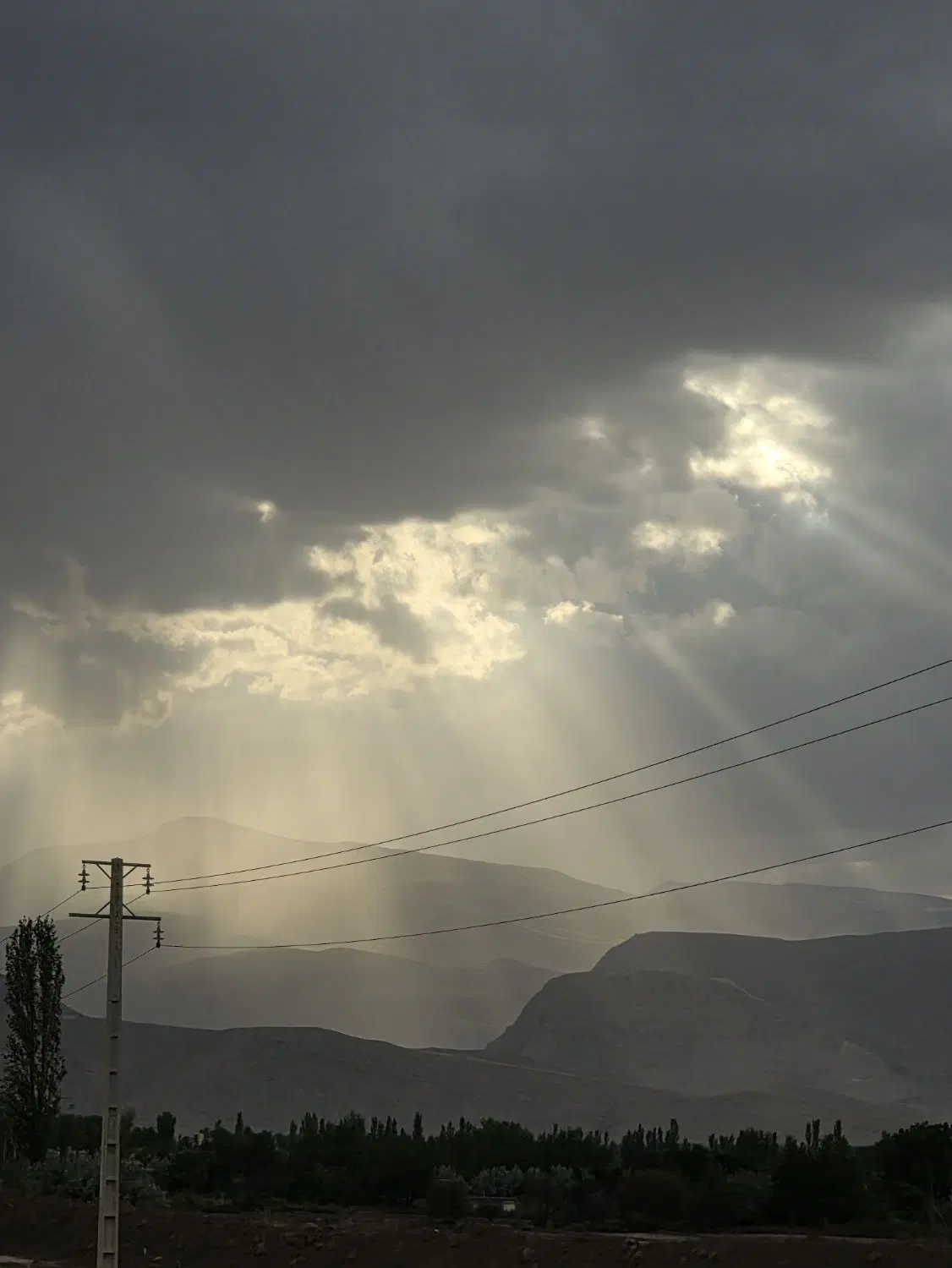 زمین باغی گجوت