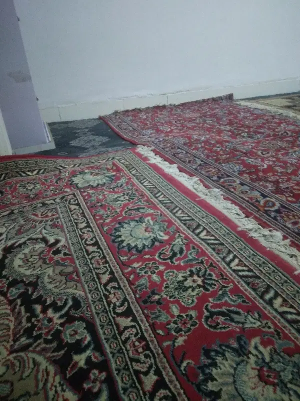همخونه